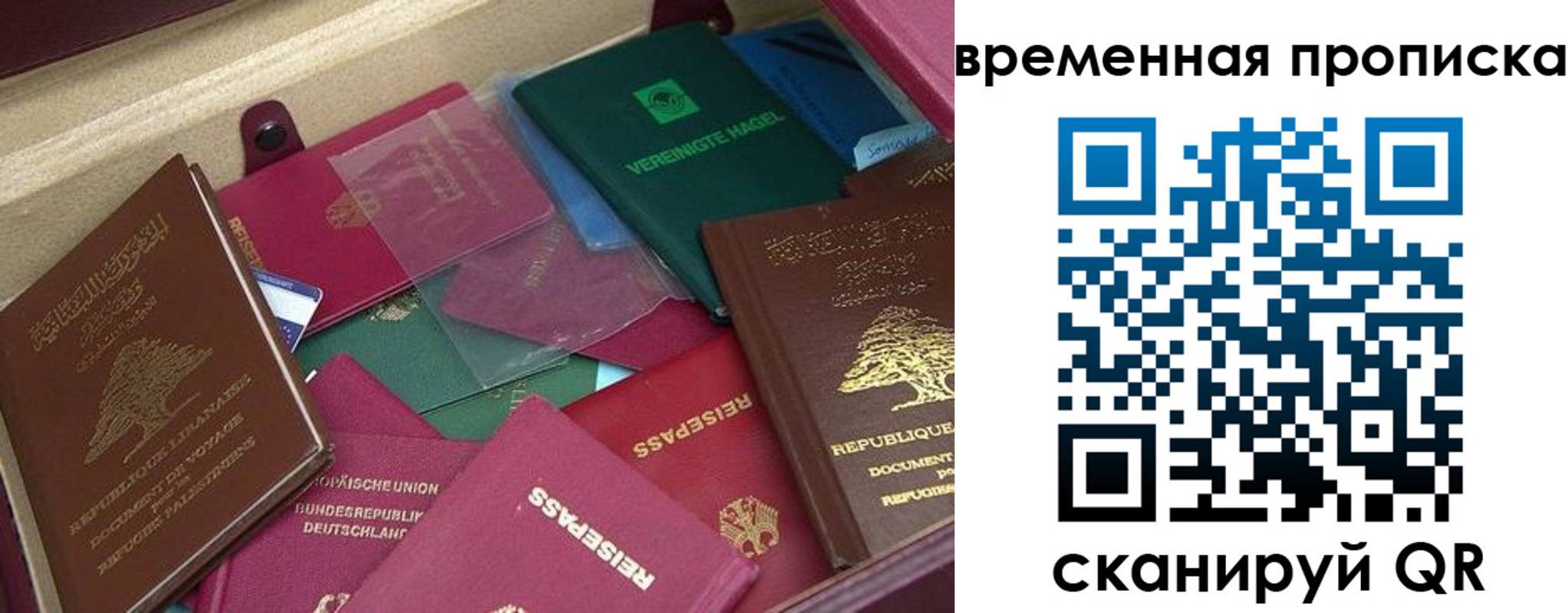 прописка в Сольцах